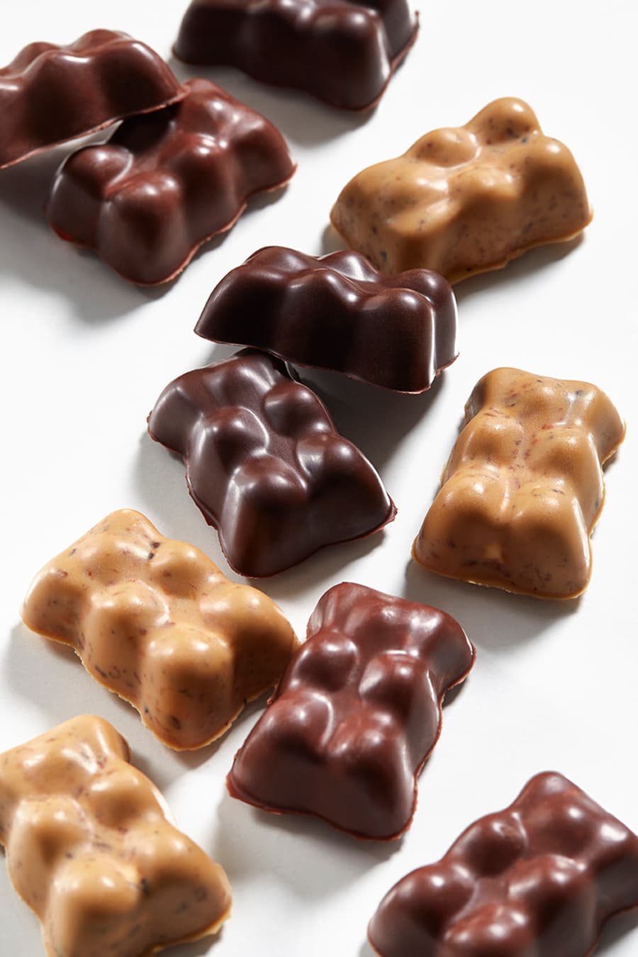 Maison Vaucamps - oursons-vaucamps.jpg